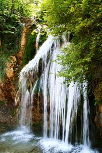 Scenic view of waterfall in forest