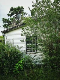 House by trees against sky