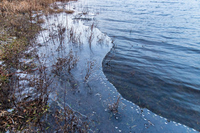 High angle view of lake shore