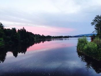 Reflection of trees in water against sky