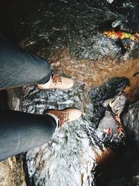 Low section of man standing in water