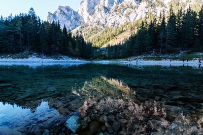 Scenic view of lake in forest during winter