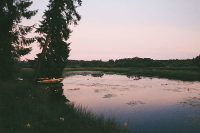 Reflection of trees in calm lake