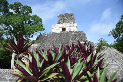 Low angle view of historical building