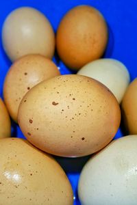 Close-up of eggs