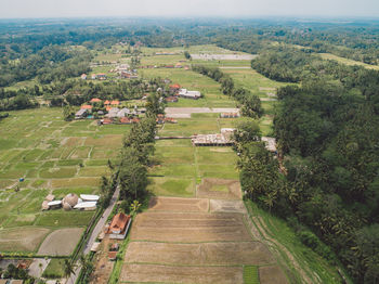 High angle view of agricultural landscape