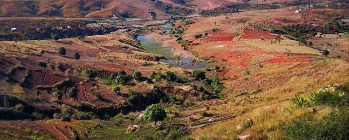 High angle view of trees on landscape during autumn