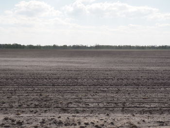 Scenic view of field against cloudy sky