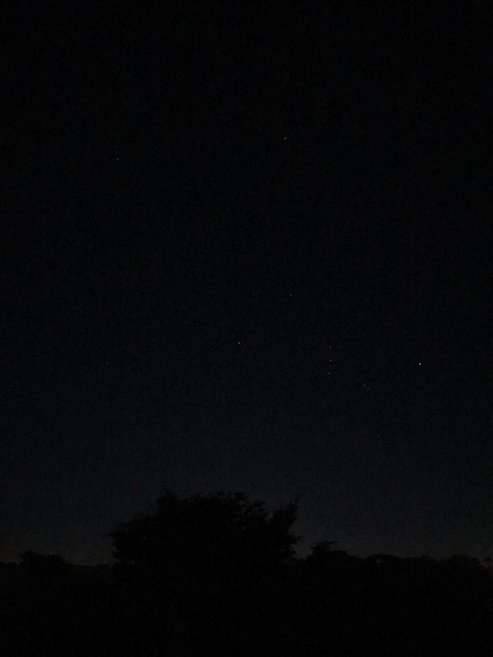 VIEW OF SILHOUETTE TREES AGAINST CLEAR SKY