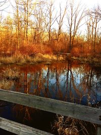 Reflection of trees in lake against sky