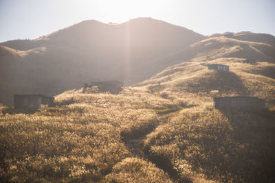 Rear view of man walking on mountain