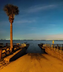 Scenic view of palm trees on beach against sky during sunset