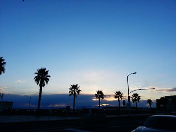 Palm trees by road against clear blue sky