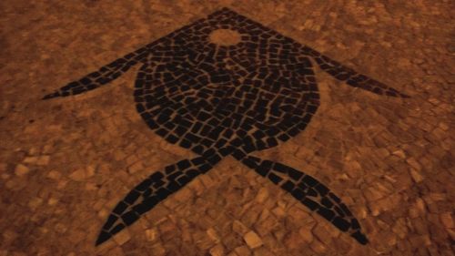Close-up of food on table