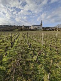 Scenic view of vineyard against sky