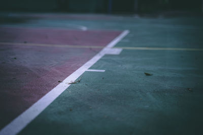 Basketball court