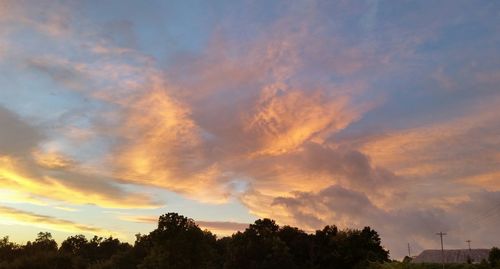 Low angle view of silhouette trees against sky