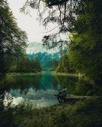 Scenic view of lake in forest against sky