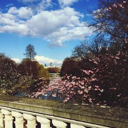 View of trees against cloudy sky