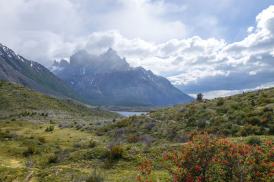 Lake pehoe view, torres del paine national park, chile. chilean patagonia landscape
