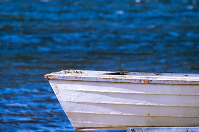 Close-up of bee on sea