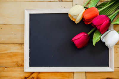 High angle view of flowers on table