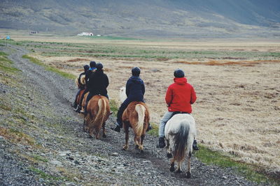 Rear view of friends riding icelandic horses on field