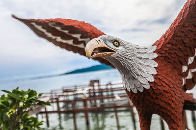 Close-up of eagle against sky