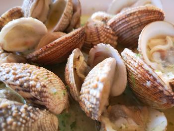 Close-up of shells in basket