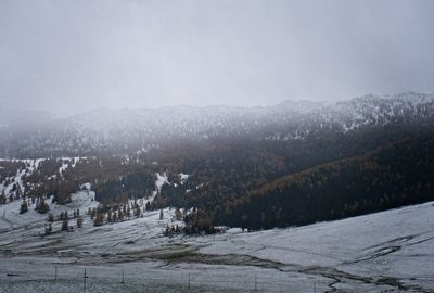 winter