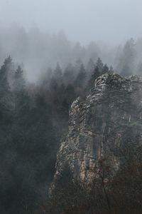 Scenic view of trees and mountains in forest during foggy weather