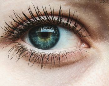 Close-up portrait of human eye