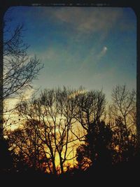 Bare trees against sky at sunset