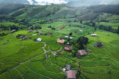 High angle view of agricultural field