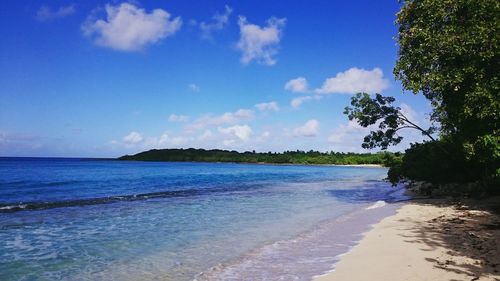 Scenic view of beach against blue sky