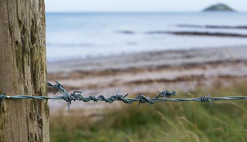 Barbed wire fence on beach