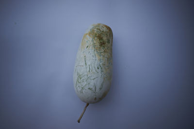 Close-up of winter melon against white background