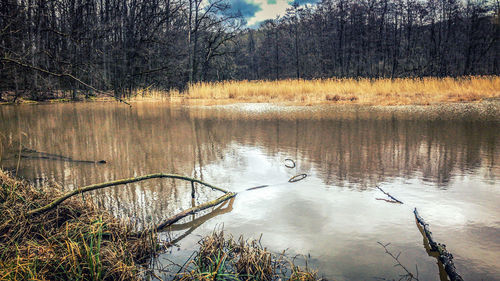 Scenic view of lake