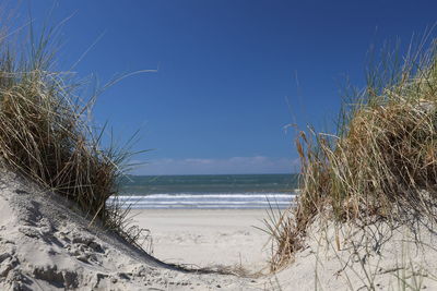 Scenic view of sea against clear blue sky