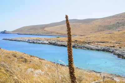 Scenic view of lake against clear sky