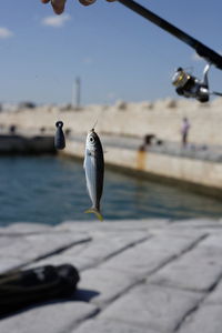 Fishing at the port