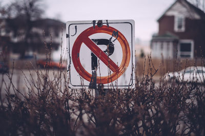 Close-up of no parking sign amidst dried plants