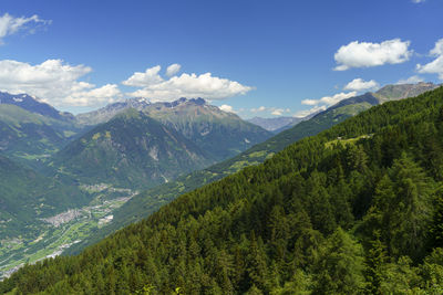 Scenic view of pine trees and mountains against sky