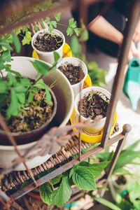 High angle view of potted plants