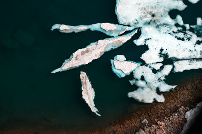 Close-up of frozen plant during winter