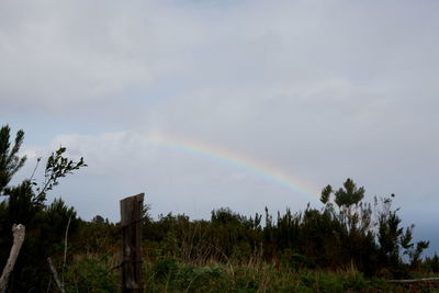 Scenic view of rainbow over trees against sky