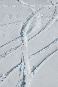 Ski tracks in the snow