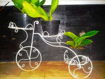 Close-up of potted plant on table against wall