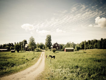 View of road passing through field