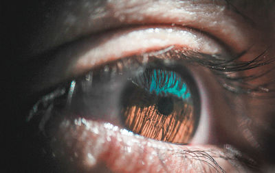 Close-up of human eye